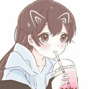 Meet your Posher, Joy